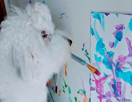 Deaf dogs trick training- dog painting with a brush.